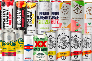 The best low-carb seltzer drinks. Bud Light, Truly, Topo Chico, White Claw Hard Seltzers