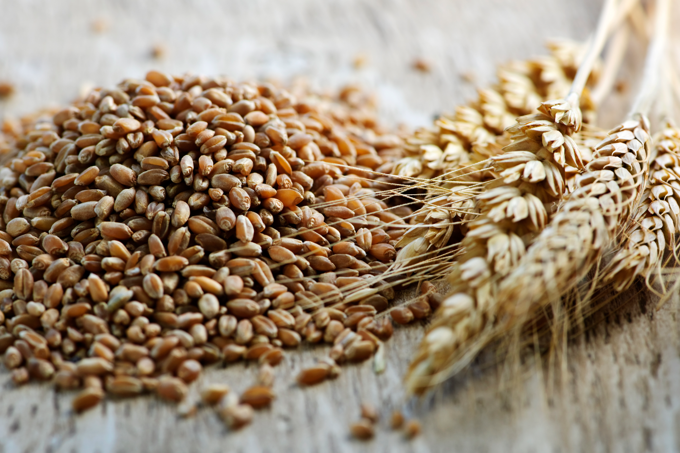 Grains